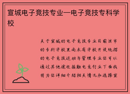 宣城电子竞技专业—电子竞技专科学校